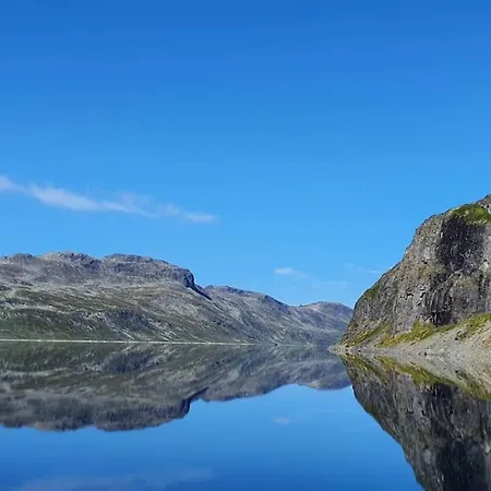 Riddertunets Lune - Dyr Tillatt