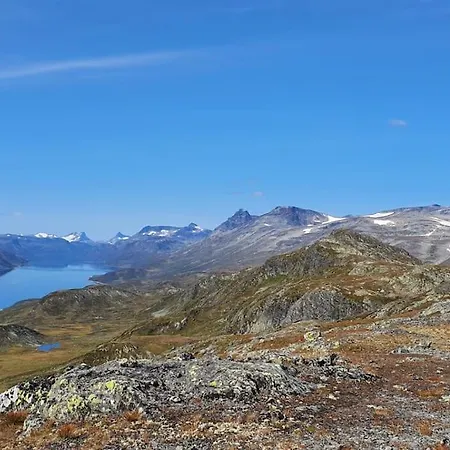 Riddertunets Lune - Dyr Tillatt Beitostolen